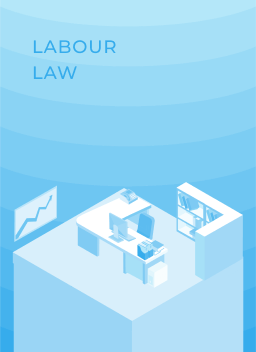 Labour Law cover image